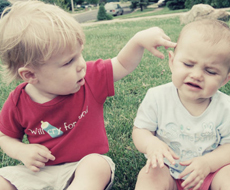 全谱系产品矩阵 欧洲狮动力适配多场景动力需求